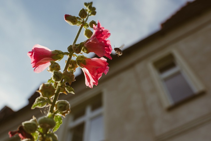 0035-AuS_Neuhausen_Anne_und_Bjoern_Fotografie