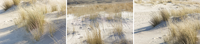 roland_michels_sylt_45