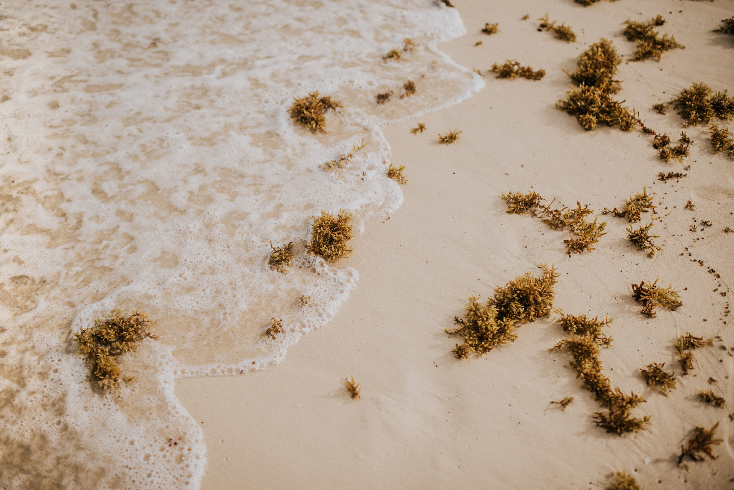 Strand von Tulum