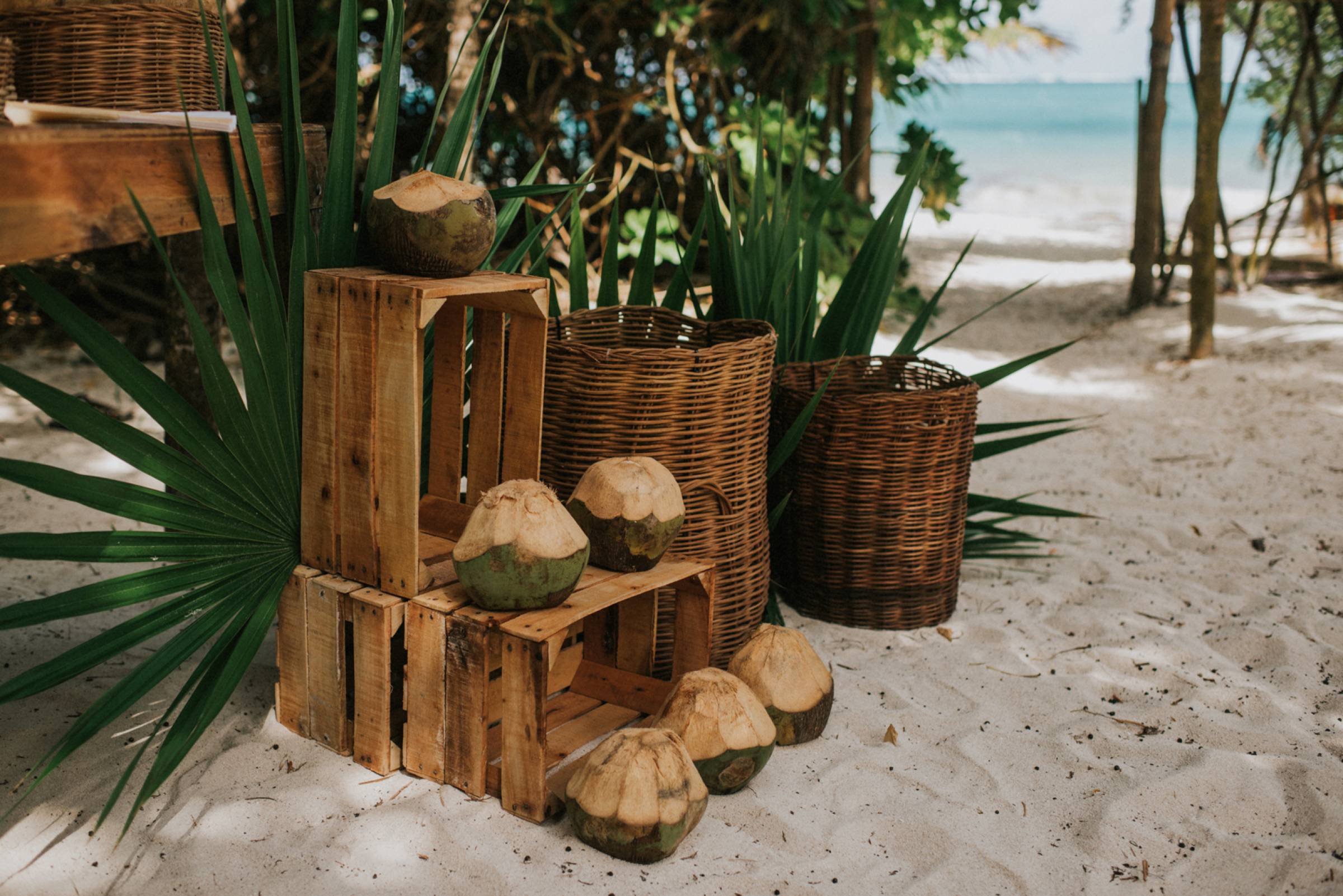 Kokosnüsse am Strand