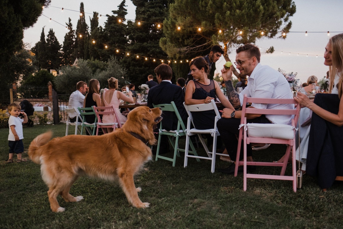 Frau Siemers - Bildpoeten - Heiraten in Barcelona - Clos la Plana - Hochzeitsgast spielt mit dem Hund