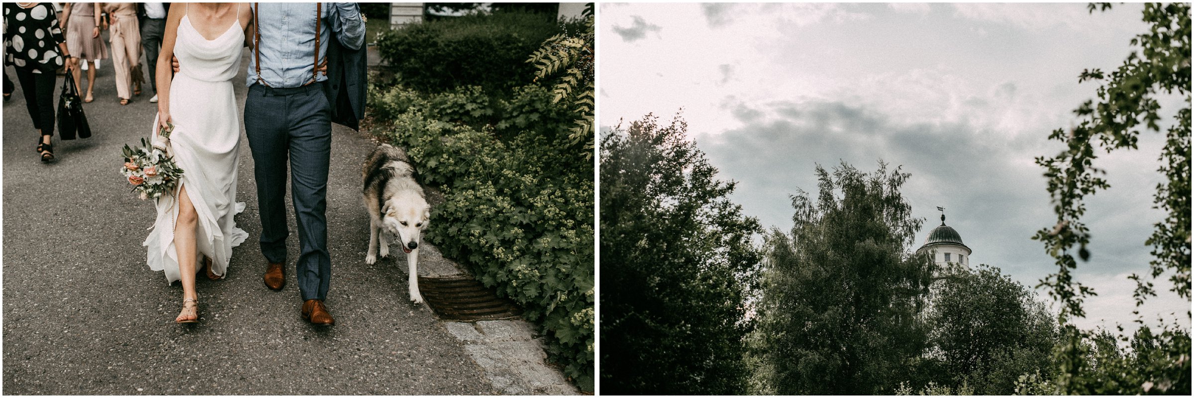 Wiesenhochzeit: Brautpaar begleitet vom Hund
