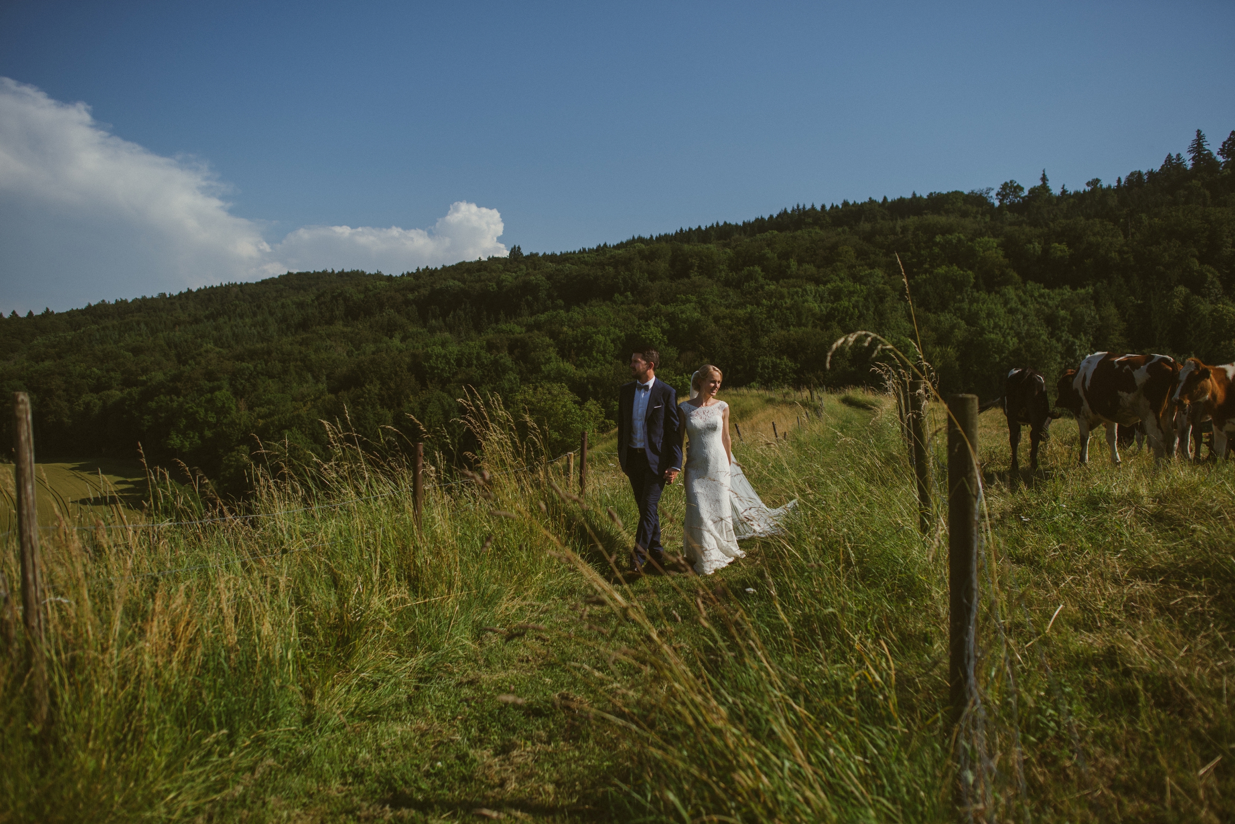Hochzeit in der Schweiz: Brautpaar läuft Hand in Hand vorbei an einer Kuhweide