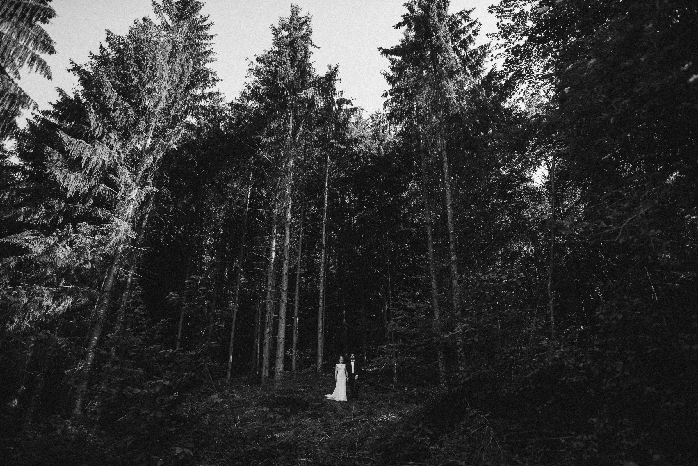 Hochzeit in der Schweiz: Brautpaar in einem Wald mit hohen Tannenbäumen