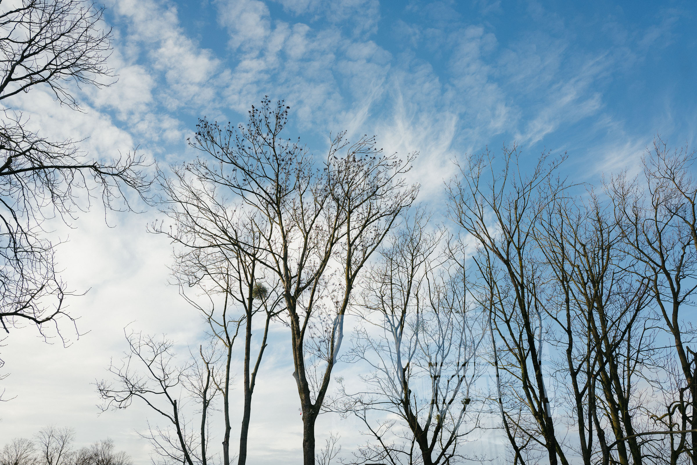 strahlend blauer Himmel zur Silvester-Hochzeit