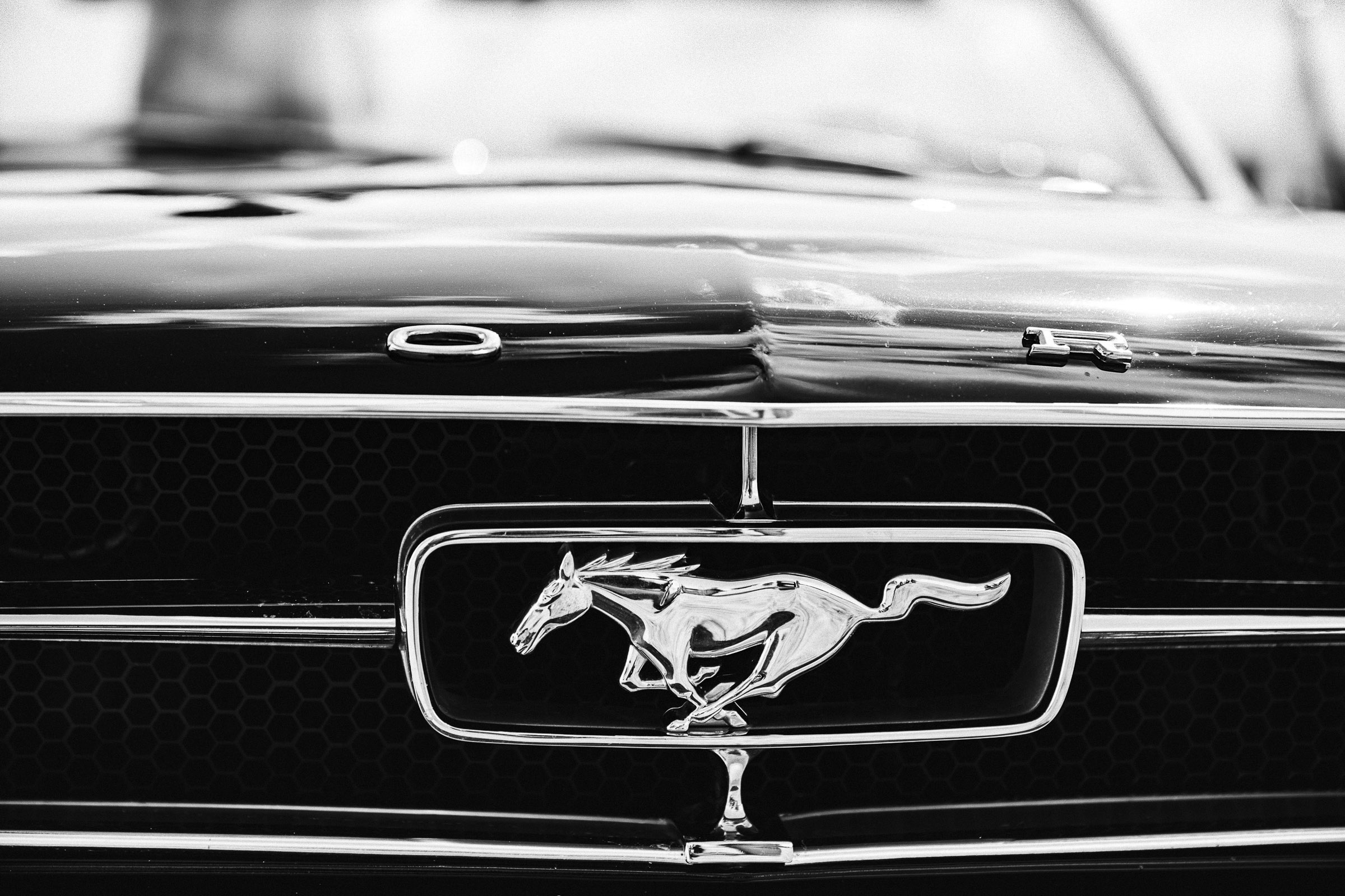 Septemberhochzeit: Frontaufnahme vom Mustang
