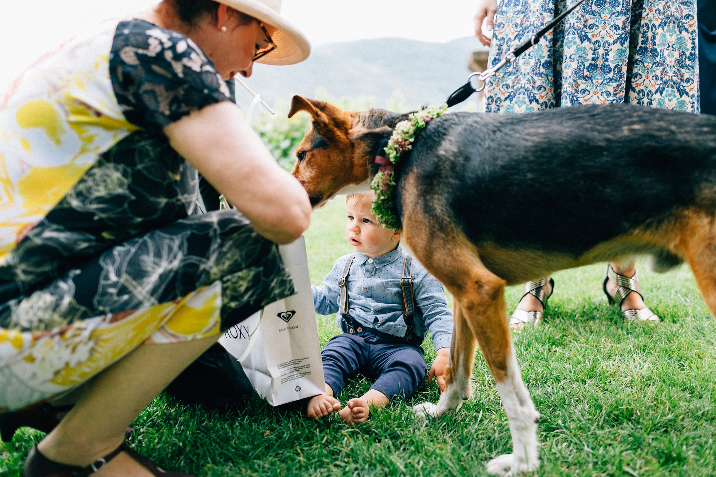 ein Hochzeitsgast mit Kind und Hund kramt in einer Tüte. Kind und Hund schauen gespannt zu