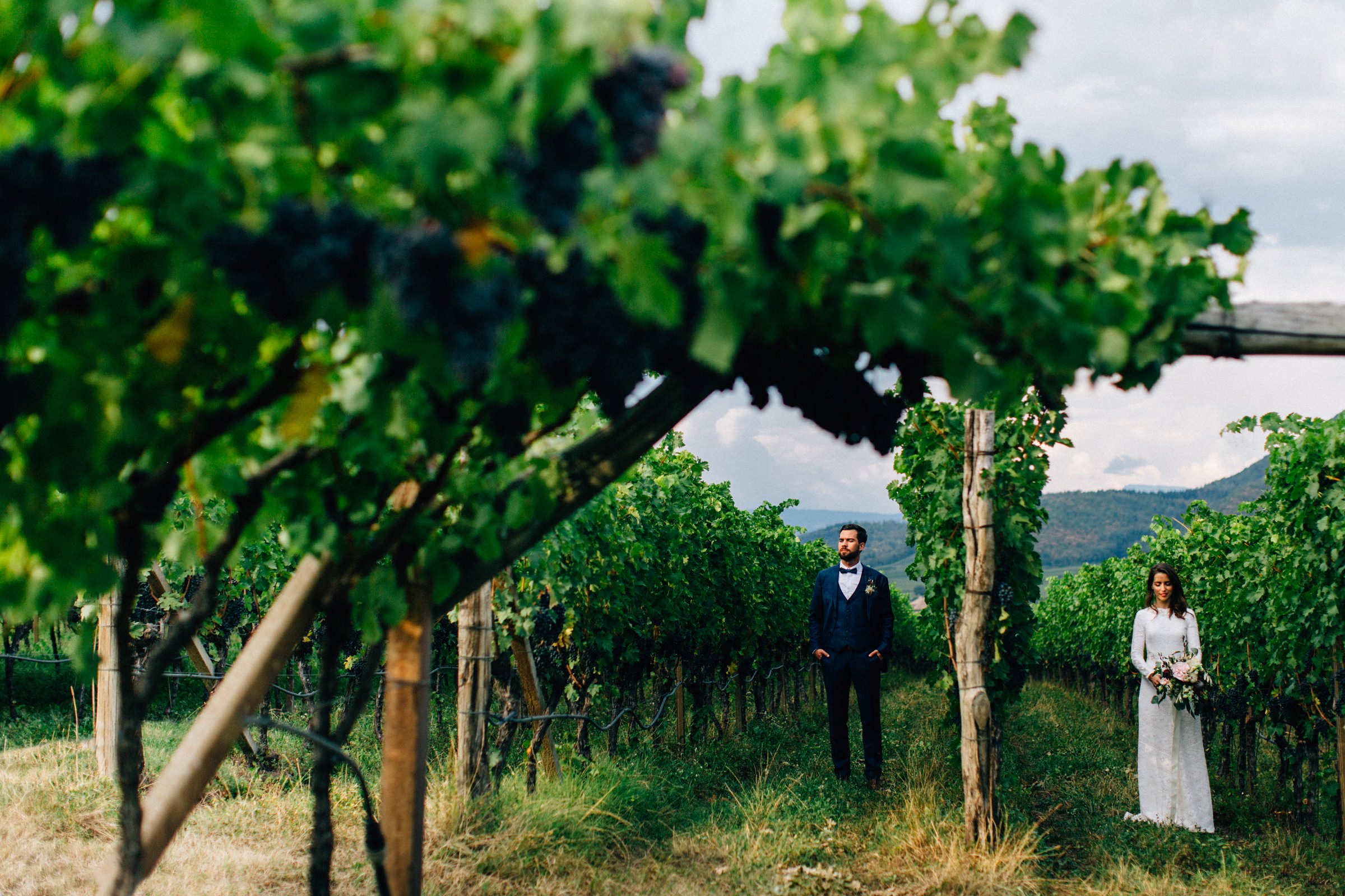 Portrait des Brautpaars zwischen den Weinreben