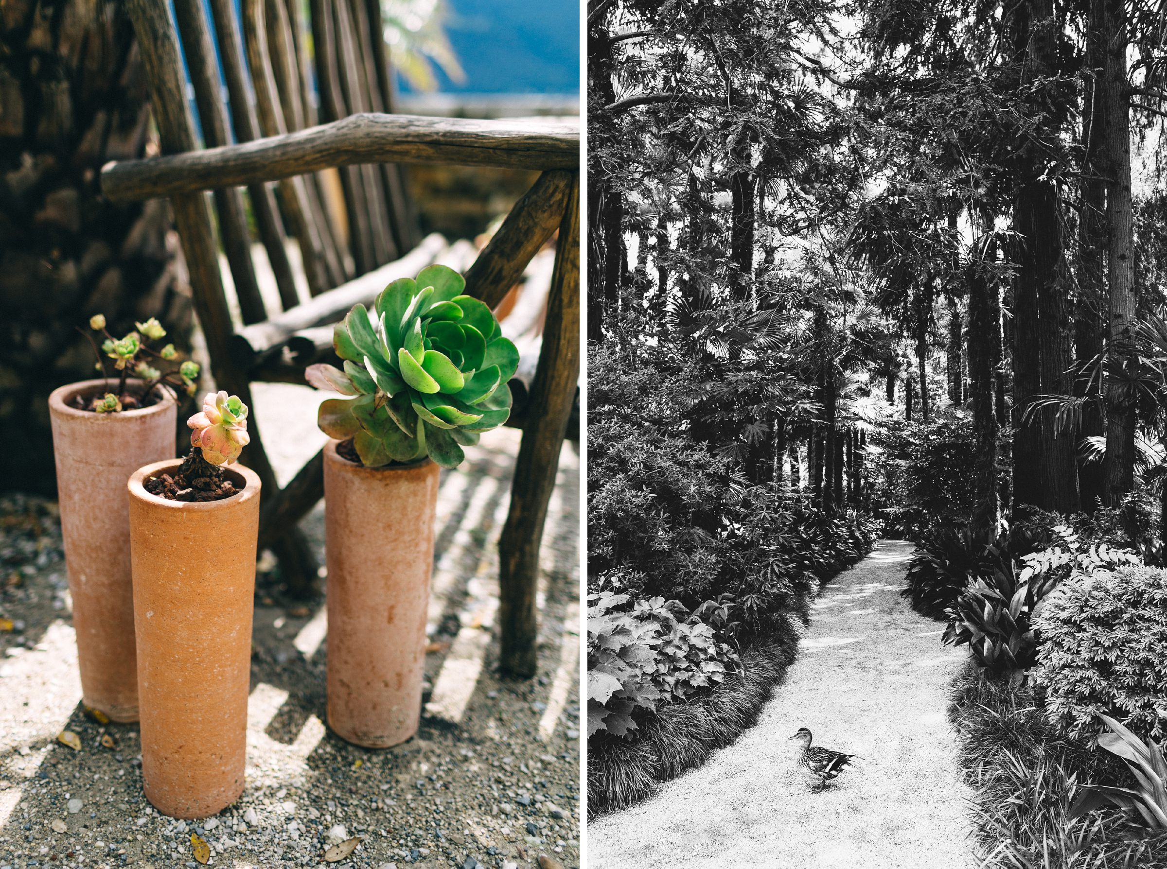 Hochzeit auf einer Insel: Gartenlandschaft auf der Insel