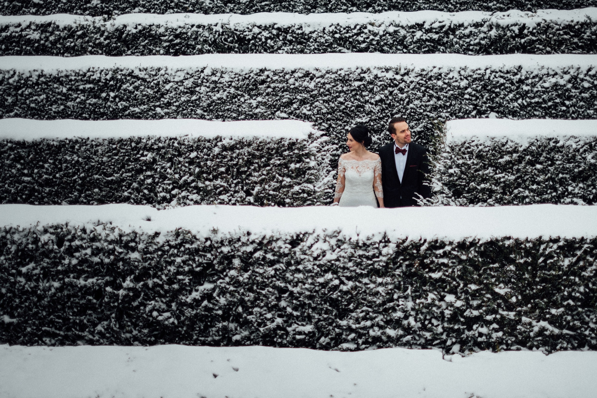 Winterhochzeit: Brautpaar zwischen schneebedeckten Hecken