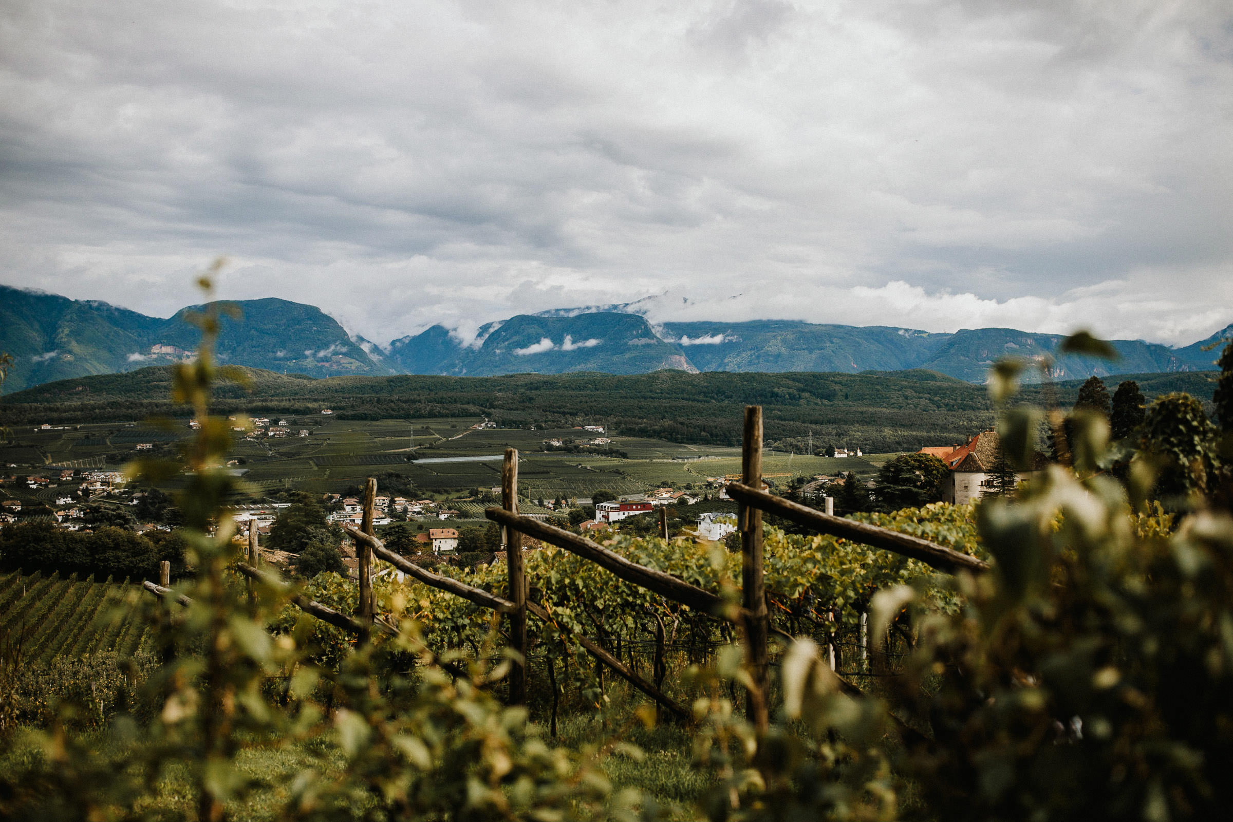 Schlosshochzeit: Blick über den Weinberg auf das Bergpanorama
