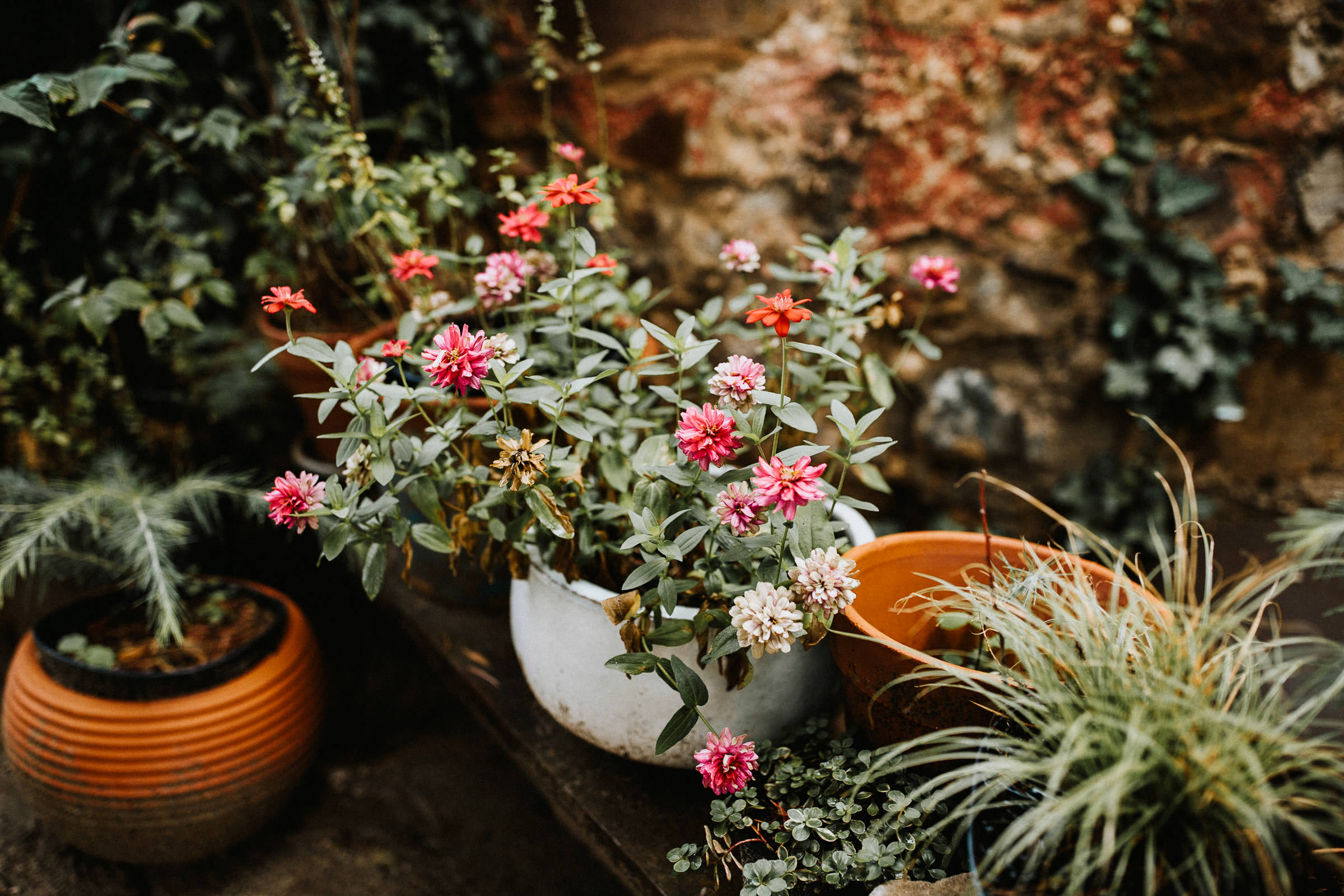 Schlosshochzeit: Blumentöpfe im Garten