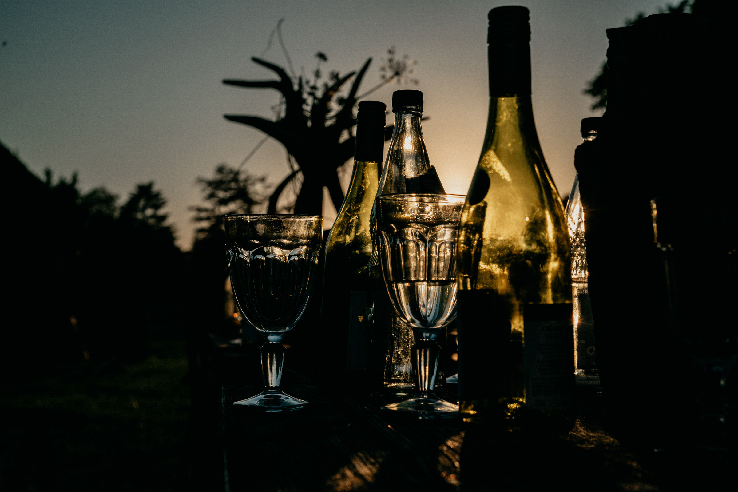 Weinflaschen im Abendlicht