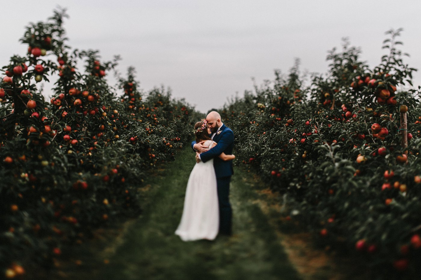 Urbane Hochzeit: Brautpaar eng umschlungen zwischen Apfelbäumen